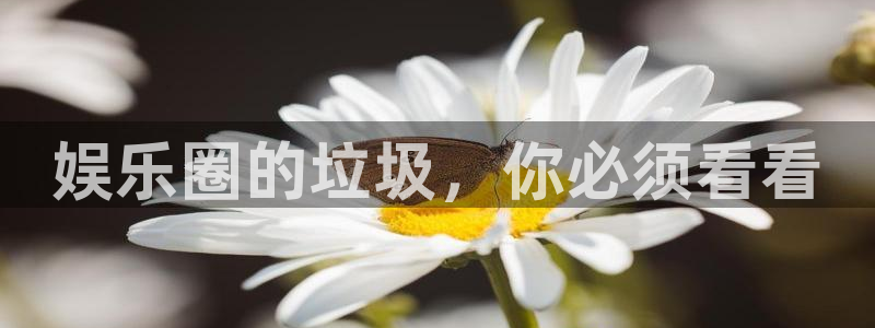 AB娱乐
