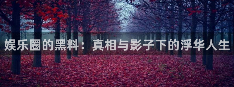 AB娱乐
