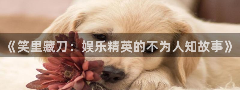 AB娱乐